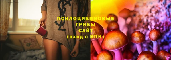 spice Алексеевка