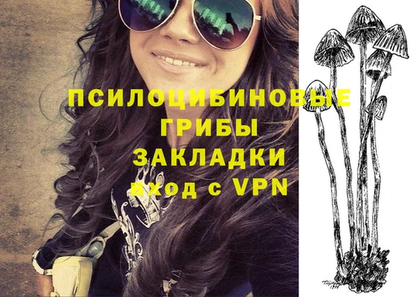 тгк Алзамай