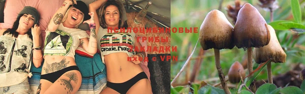 spice Алексеевка
