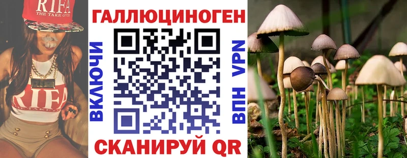 это наркотические препараты  Трёхгорный  Псилоцибиновые грибы Magic Shrooms 